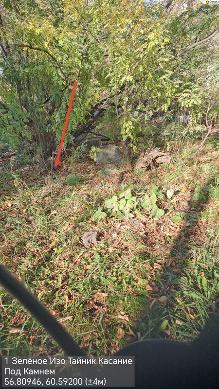 photo_13_2025-10-08_15-03-45