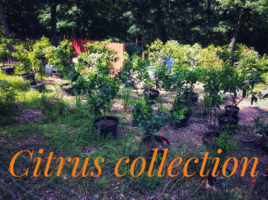 4C23C6DA-5181-465C-AE81-EBD33D10F960