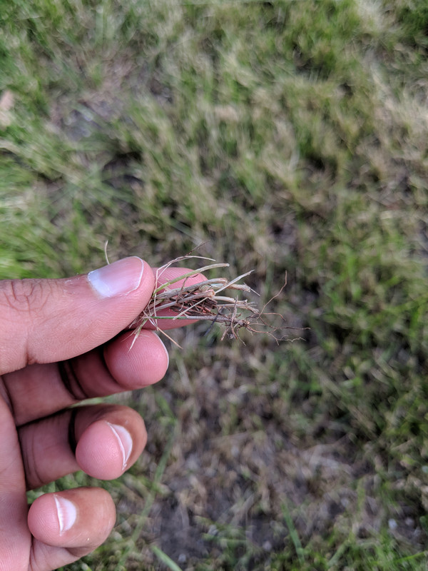 IMG_20180609_193212 - Copy