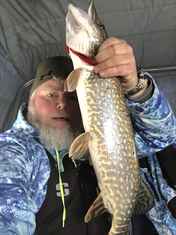 Jigged pike 1.1.19