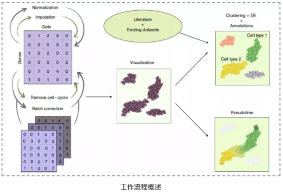 scRNA-seq测序数据的计算分析指南-2.png