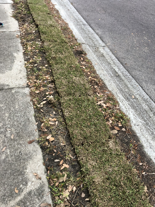 F5537A09-D536-4BDB-9756-8DBAA93E220A