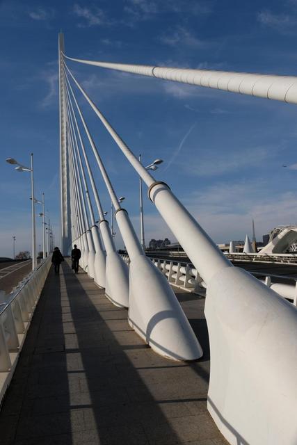 VALENCIA en un fin de semana - Blogs de España - Domingo 31/12: Centro de Valencia y Fin de Año en la Plaza del Ayuntamiento (3)