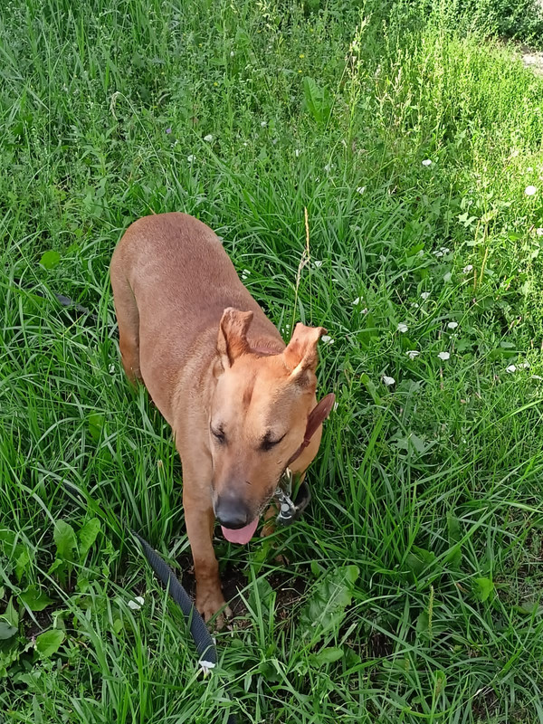 818989D8-73E4-4BF3-853C-3CCBCC8D03B0