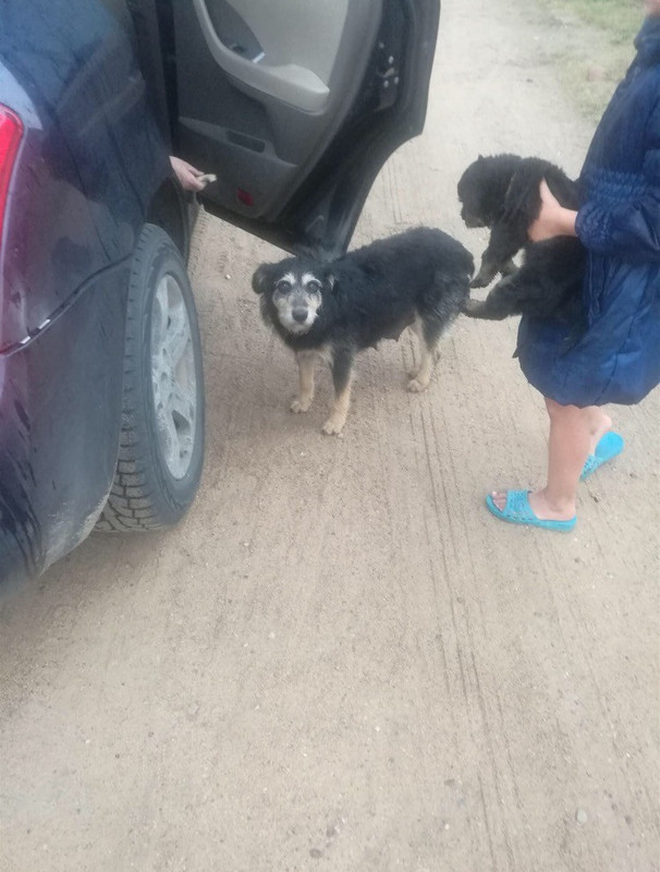 593371DF-455C-46EE-AC71-115937435F81