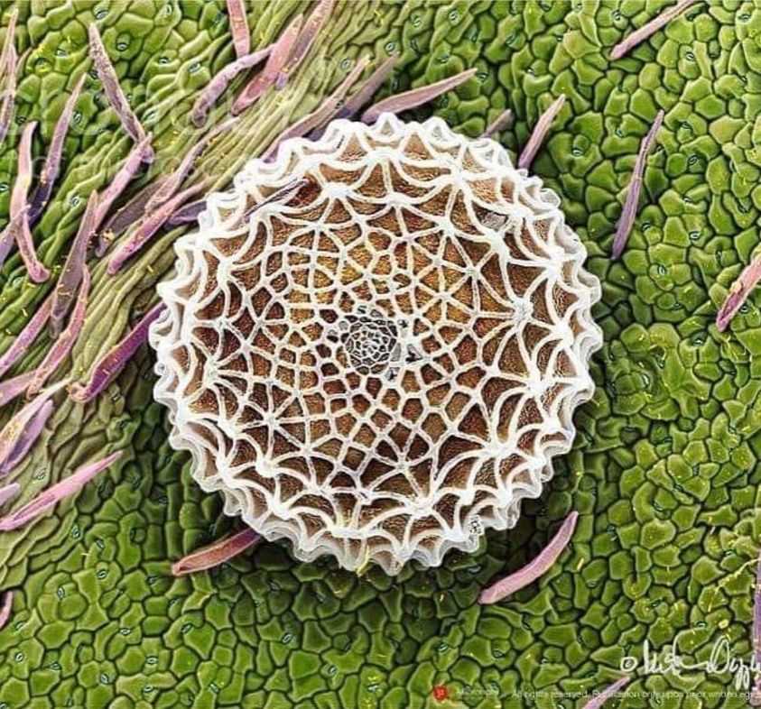 366933529_835079558187692_5938468251201280637_n