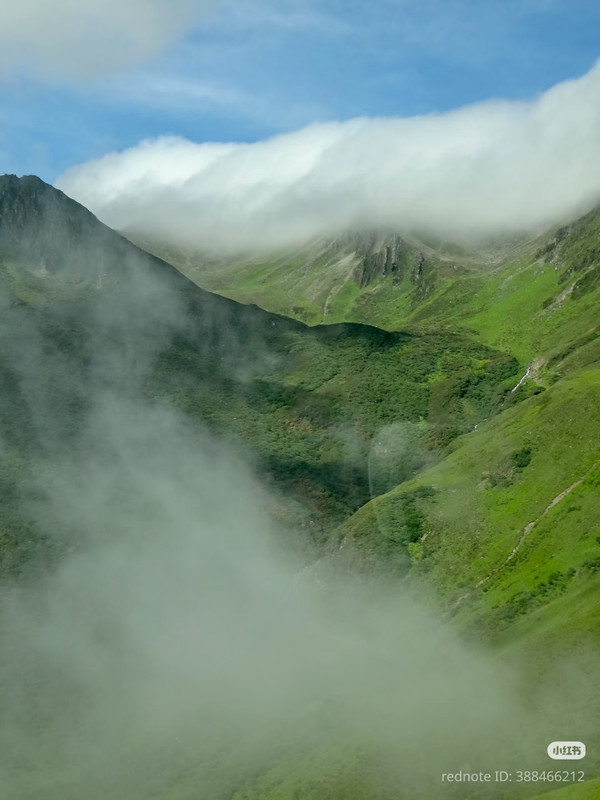 photo 3 2026 01 16 22 03 08