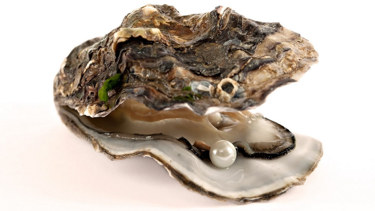 oysterpearl-957039