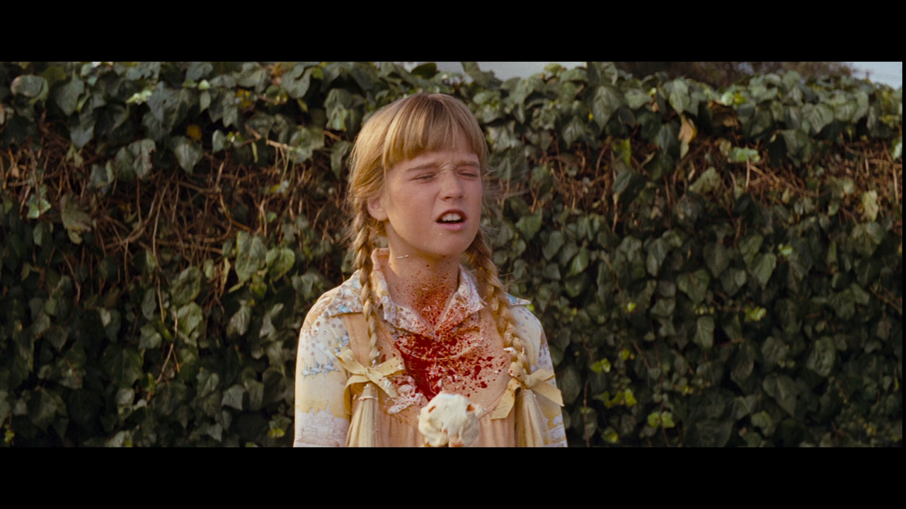 vlcsnap-2022-05-21-11h13m46s207