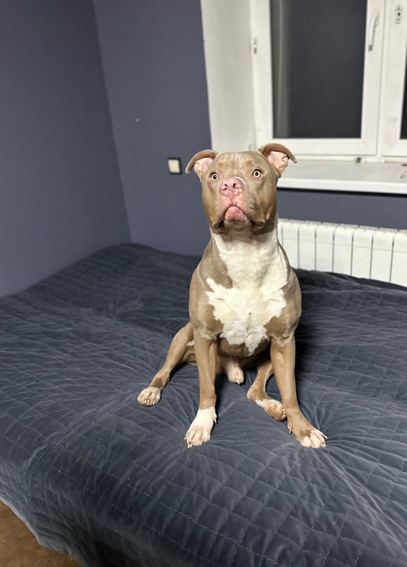 FE11856F-0E2E-40D2-81EB-76D91850FFFF