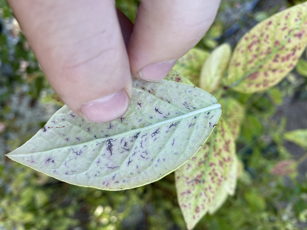 8714C93C-8559-4ABD-8FC8-B5EFD2524340