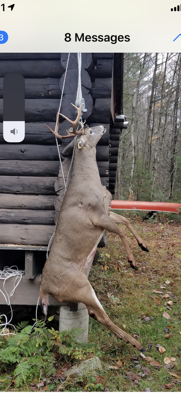 F3C47C33-825B-422E-8D8B-802EF79A11EB