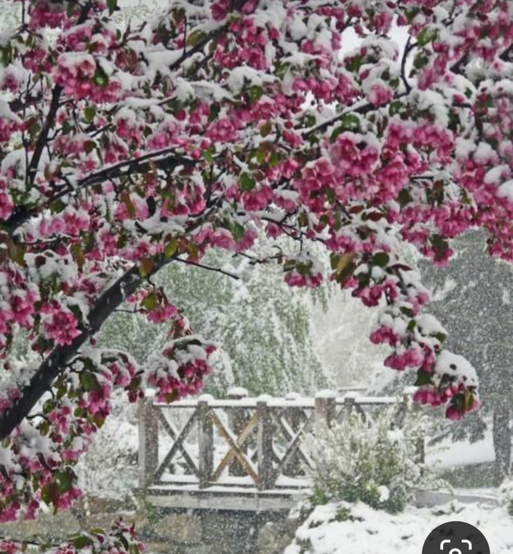 Screenshot_20230329_005105_Pinterest