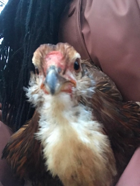 EA877E3B-7D5F-4139-B4FE-5148EC7DC615