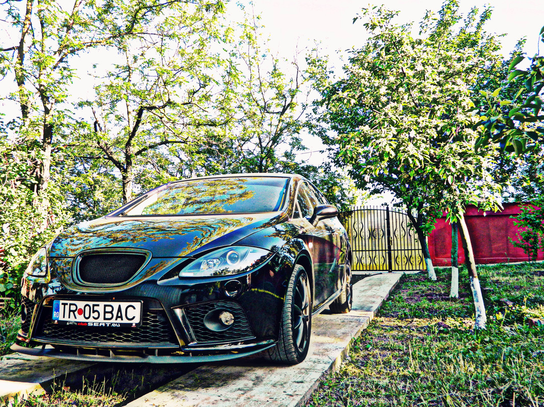 DSCN2950