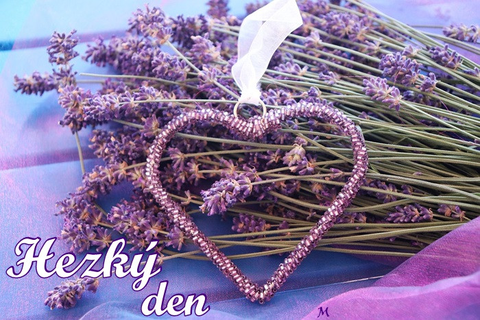 lavender-5292058-960-720.jpg