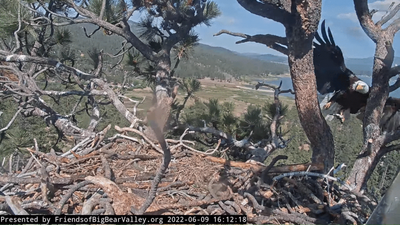 Webp.net-gifmaker (6)