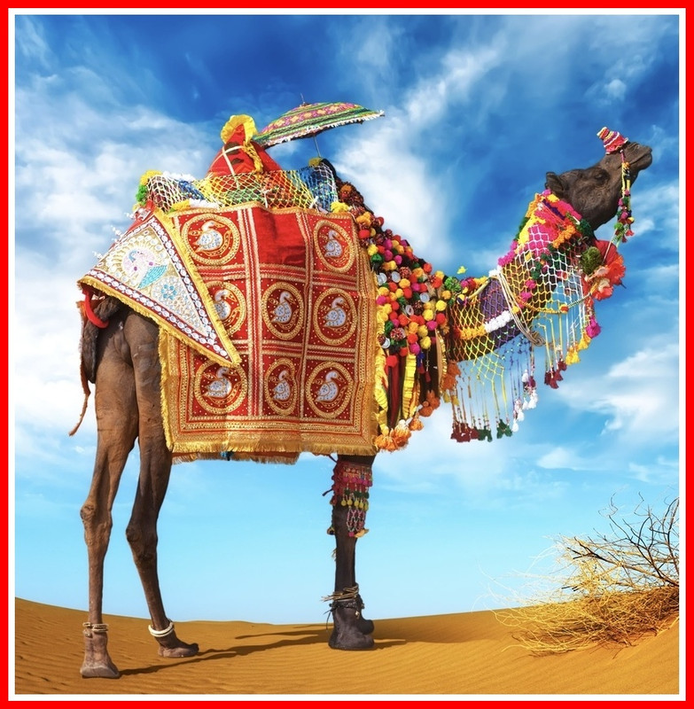 878365BC-4297-421B-B467-1536D5C8C028