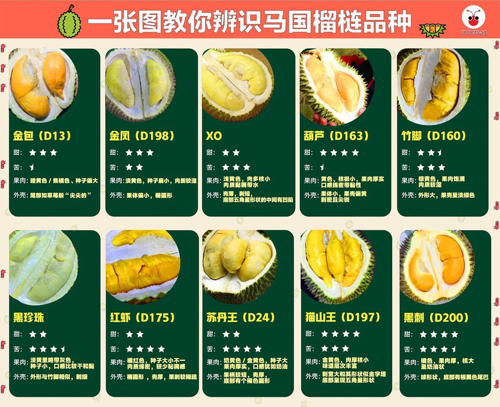Malayisa Different Type Of Durian In 1 Chart Hardwarezone Forums