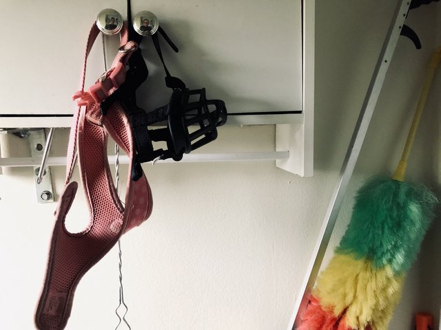 5382B3AA-FD41-4B28-9865-FFB6762199CD