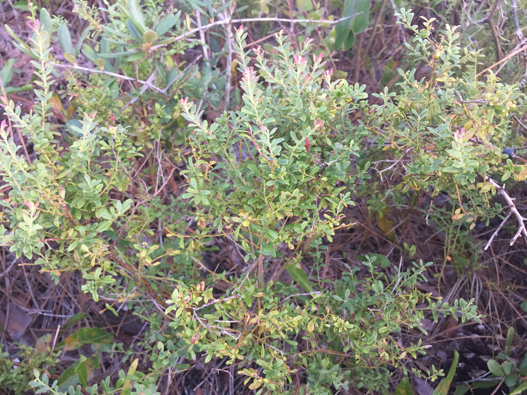 E1EAD0FC-7E95-49A7-8C95-357FA16F79DF