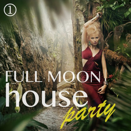 bedcb65e d5d8 4cbd aea4 c243cad905bc - Various Artists - Full Moon House Party Volume 1 (2021)