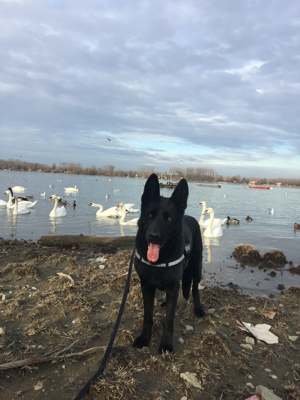 22BA81A8-69CA-4207-A029-944540047796