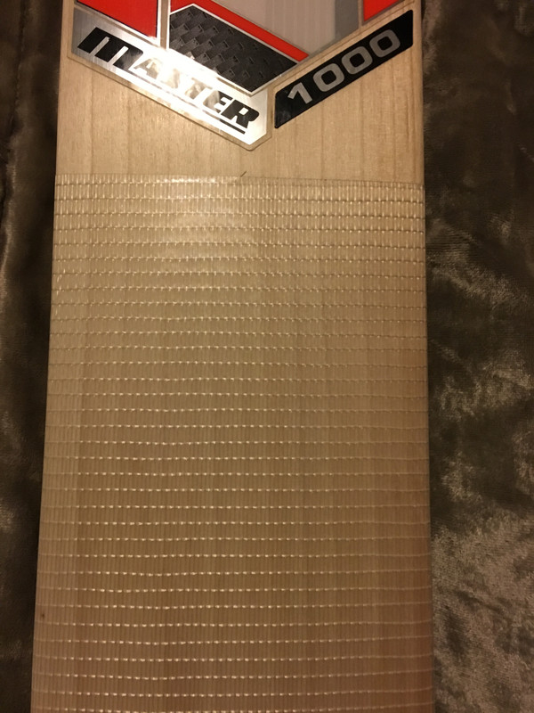 8238DCD0-2261-4BAB-936D-6EA34E655B1D