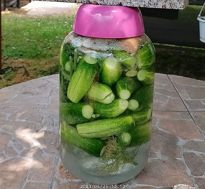 https://i.postimg.cc/yNbNPMrR/kovaszosubi-2023-06-25.jpg