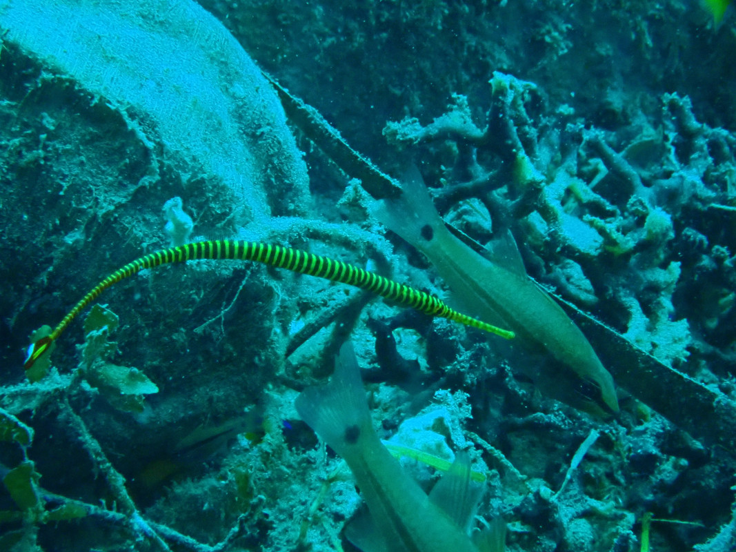 19DCC073-5B0C-4309-BF13-8540D2DAD787