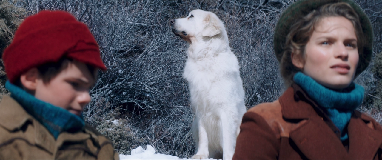 vlcsnap-2023-01-10-15h50m15s950