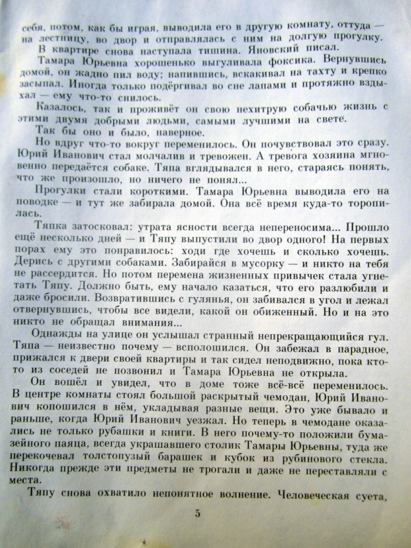 IMG-5000
