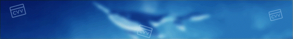 NARWHAL-SHOP.gif