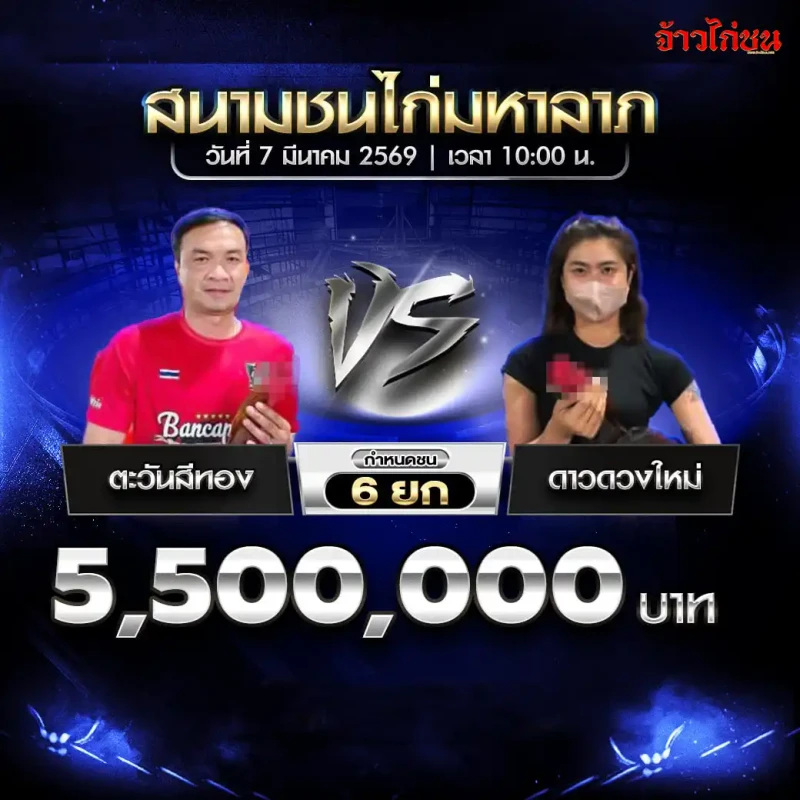 โปรแกรมไก่ชน คู่ตะวันสีทอง พบ ดาวดวงใหม่ สนามชนไก่มหาลาภ วันที่ 7 มีนาคม 2569