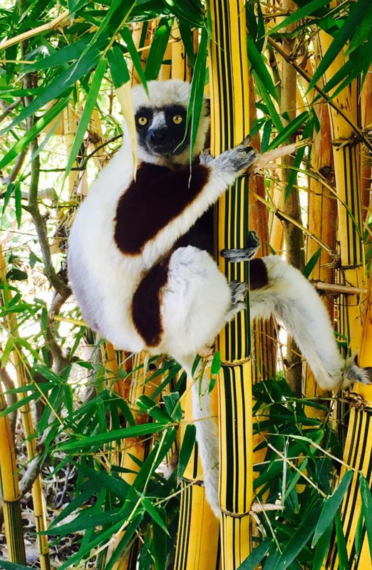 18698538-10154485547995703-6940572834850