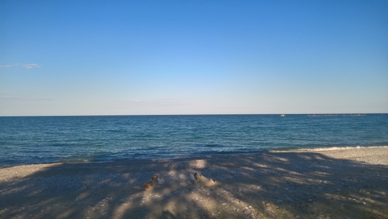 Slika
