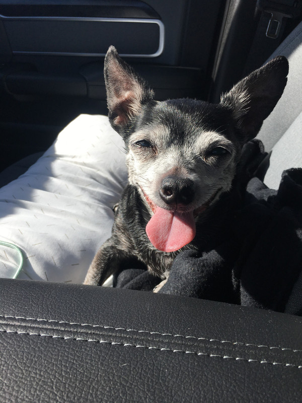 407EA962-E65B-491C-B7B2-76022316C0ED