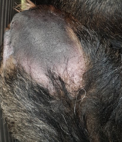 [Image: 20210329-190452.jpg]