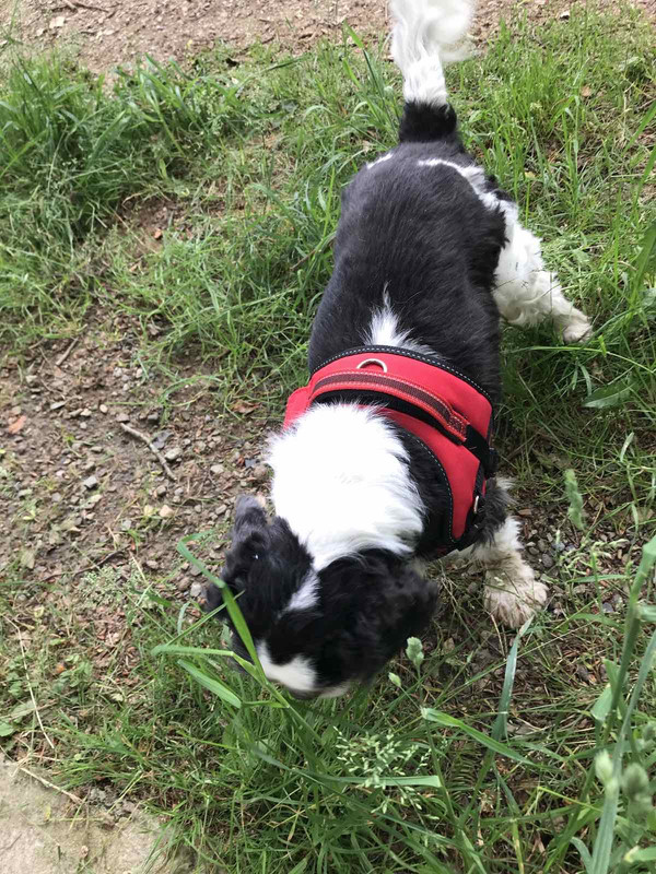 2F2D062B-EF73-4102-874A-925BA294DF42