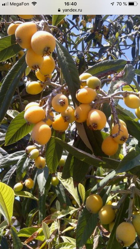 3A00E0D2-7635-4872-9AA3-5078BB31A498