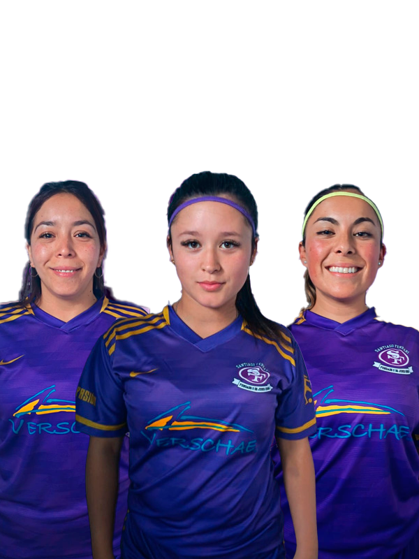 Polera Oficial Femenina