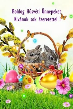 c0227cb61577076105d78f338fbf9de9