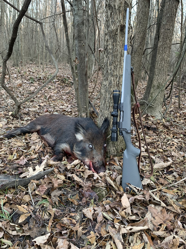 2BA6C734-3A1F-4EF4-A5E3-1C702FE575C1