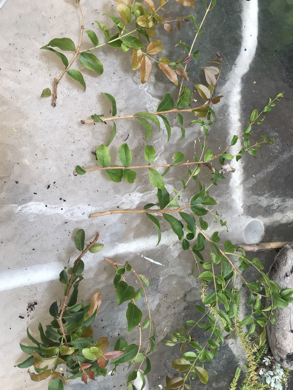 45A60406-0527-495C-AD56-48F6316D5C4B