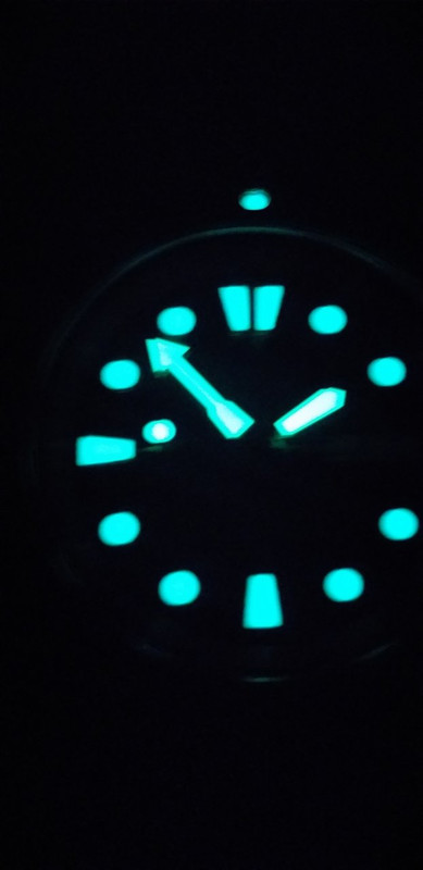 Lumen de Seiko Turtle