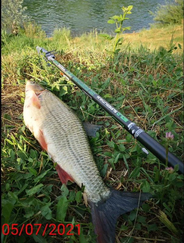 received_247395943485552(1)