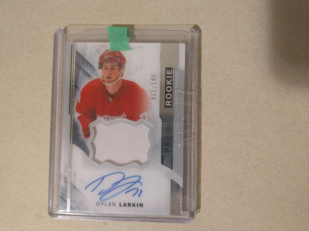 IMG_20241022_224530025_MP