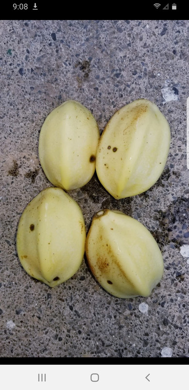 Screenshot_20250316-090852_Facebook