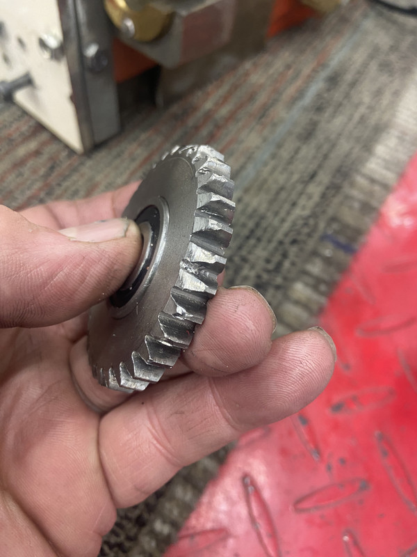 4D320352-25C0-4719-AF9F-3DE239F6955D