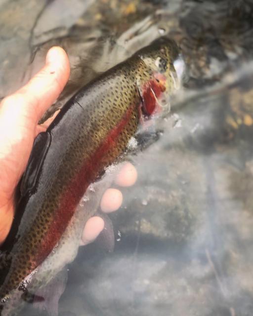 C5E7B13B-1D13-4B71-8663-DD821DA38F19